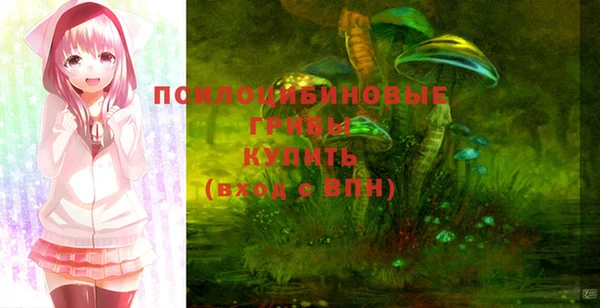 первитин Арсеньев