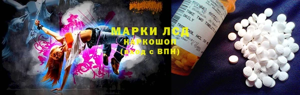 крисы Армянск