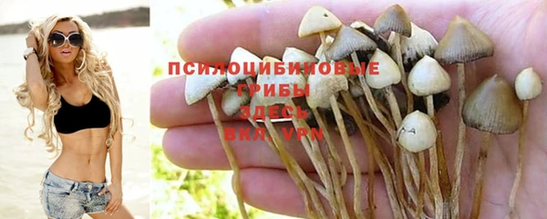 первитин Арсеньев
