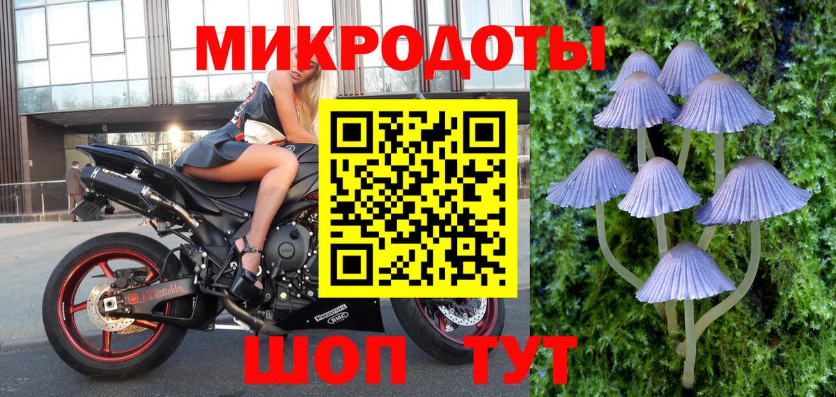 Галлюциногенные грибы Psilocybe Строитель