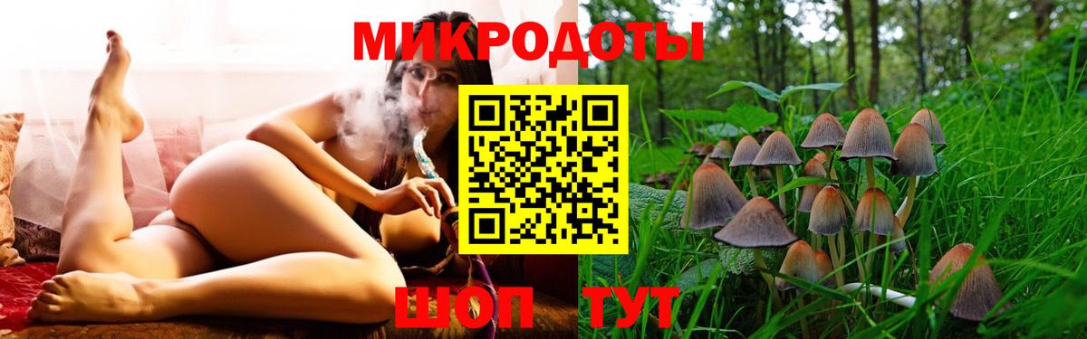 Строитель  закладка  Вход с VPN  Псилоцибиновые грибы GOLDEN TEACHER 