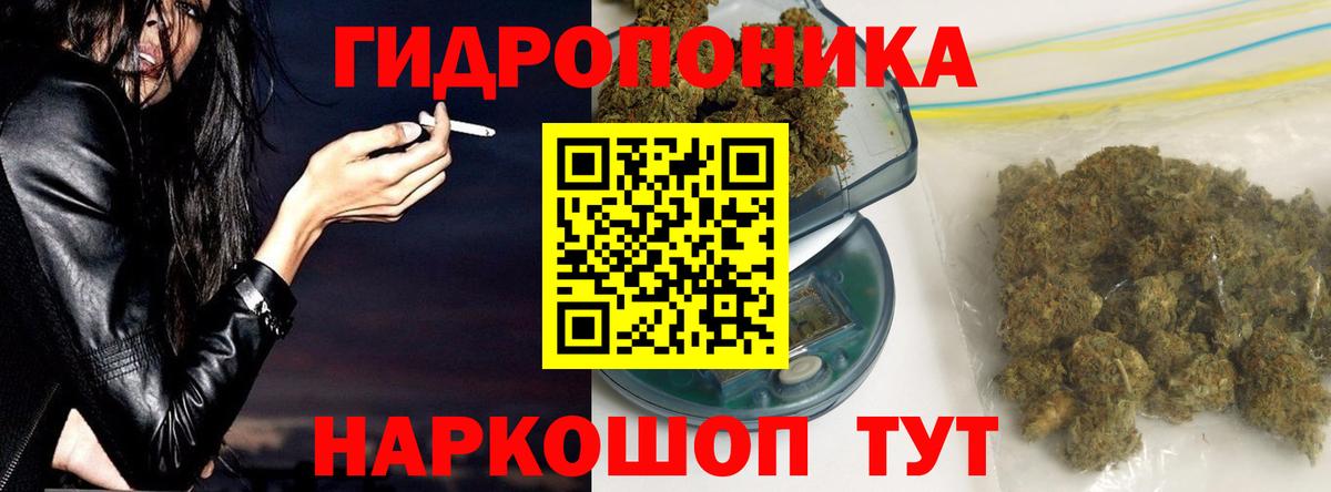 Бошки марихуана планчик  Вход с VPN  Строитель  МАРИХУАНА THC 21%  Конопля SATIVA & INDICA 